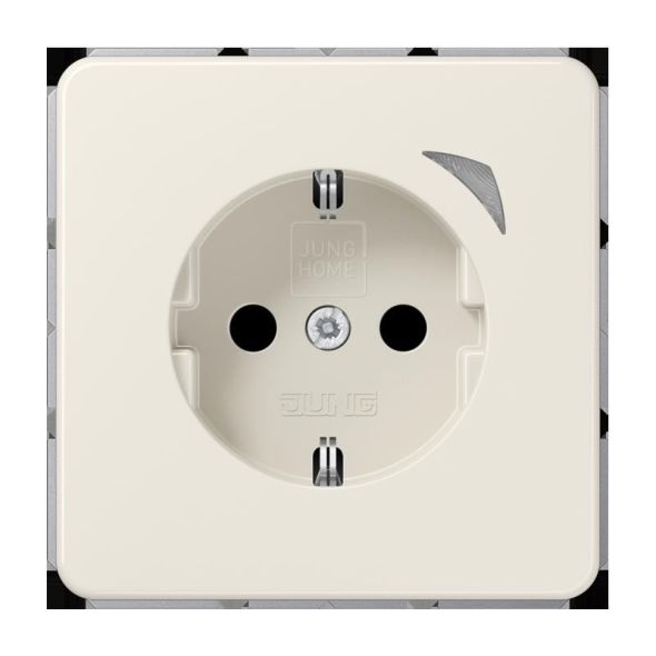 SCHUKO Steckdose 16 A 250V BT CD 1521 SE
