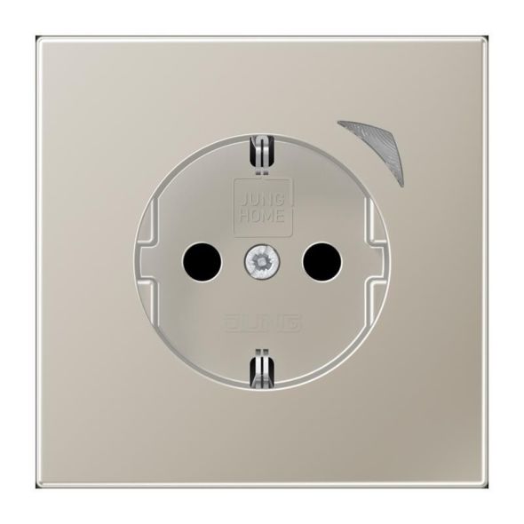 SCHUKO Steckdose 16 A 250V BT ES 1521 S-L