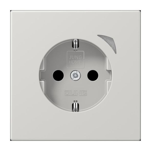 SCHUKO Steckdose 16 A 250V BT LS 1521 S LG