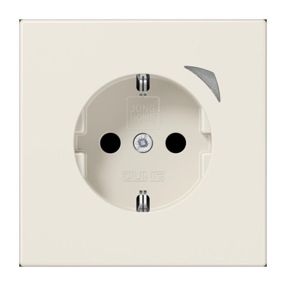 SCHUKO Steckdose 16 A 250V BT LS 1521 SE