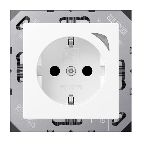 SCHUKO Steckdose BT A 1521 SE WWM