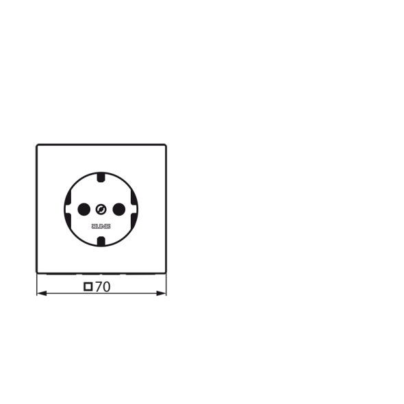SCHUKO Steckdose LS 1521 LG