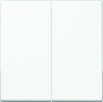 Steuertaste 2-fach A1702BFWW