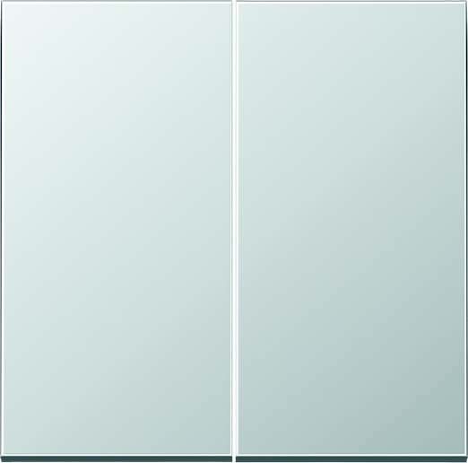 Steuertaste Standard 2-fach AL 1702 aluminium