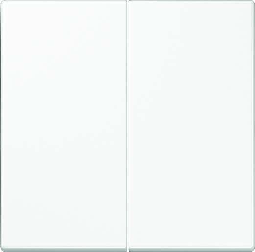 Steuertaste Standard 2-fach  LS 1702 WW alpinweiß