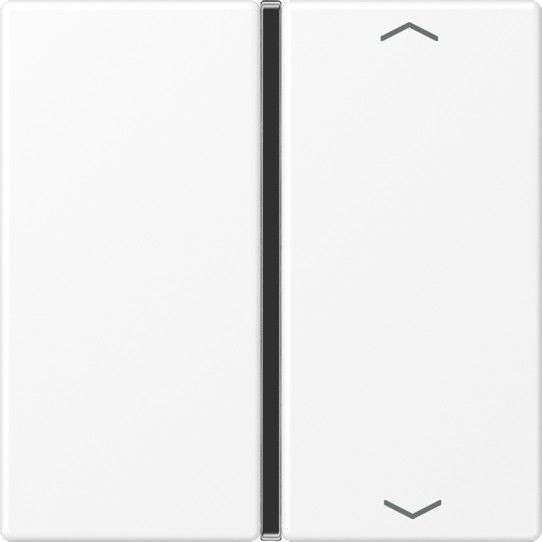 Taste 1-fach A 401 TSAP WWM