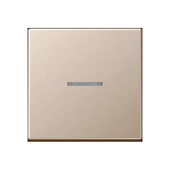 Taster 1fach BT A 17101 CH