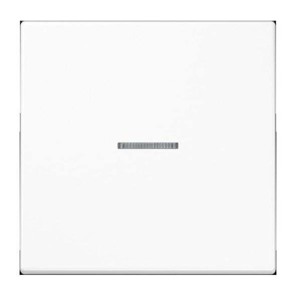 Taster 1fach BT LS 17101 WW