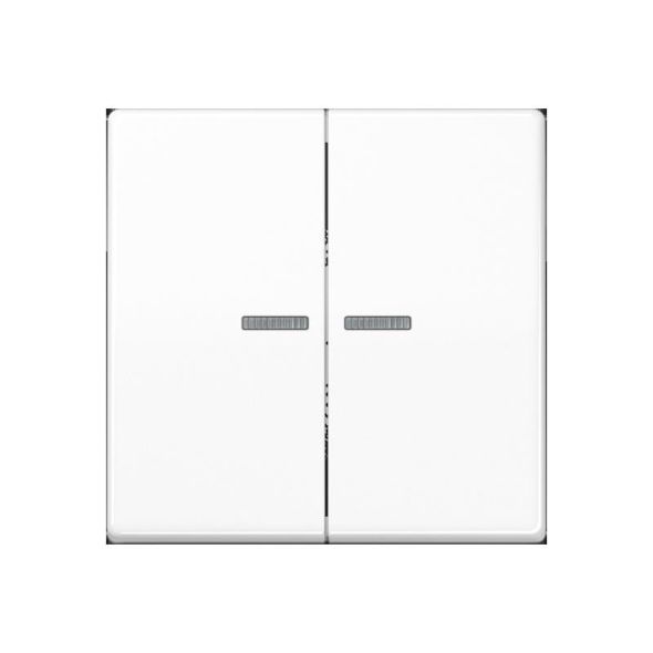 Taster 2fach BT A 17102 BF WW