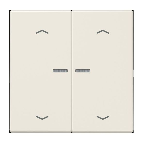 Taster 2fach BT LS 17102 P