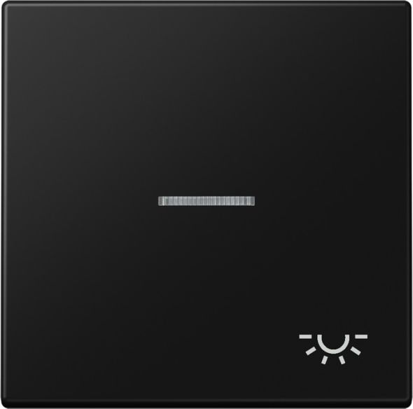 Wippe 1-fach LS 990 KO5 L SWM
