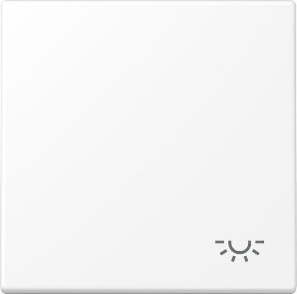 Wippe 1-fach LS 990 L WWM