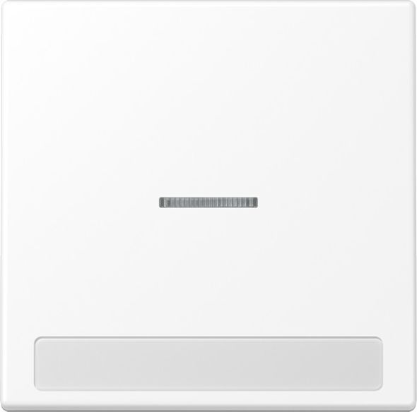Wippe 1-fach LS 990 NAKO5 WWM