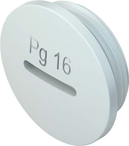 Verschlussschraube 514GFK/42