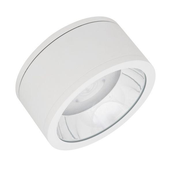 LED-Aufbaudownlight IP65 DLSU.DN250P4584036DW