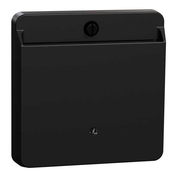 Card-Schalter sw matt MEG3854-0403