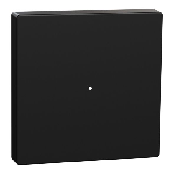 Wippe 1f sw matt MEG5210-0403
