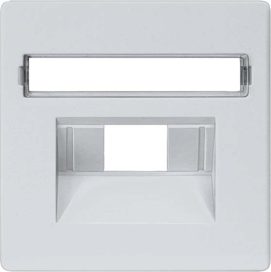 Netzwerk-Abdeckplatte 5TG1258 aluminium-metallic