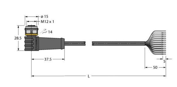 Anschlussleitung WKS12T-10/TXL