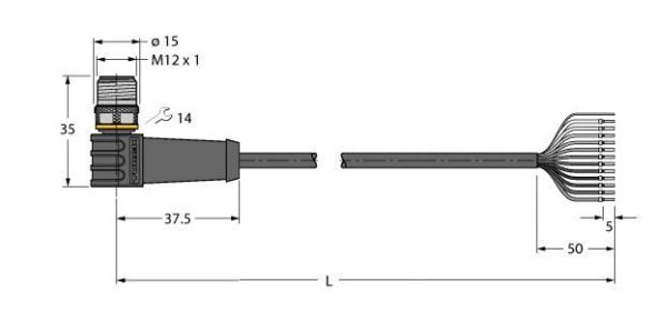 Anschlussleitung WSS12T-2/TXL