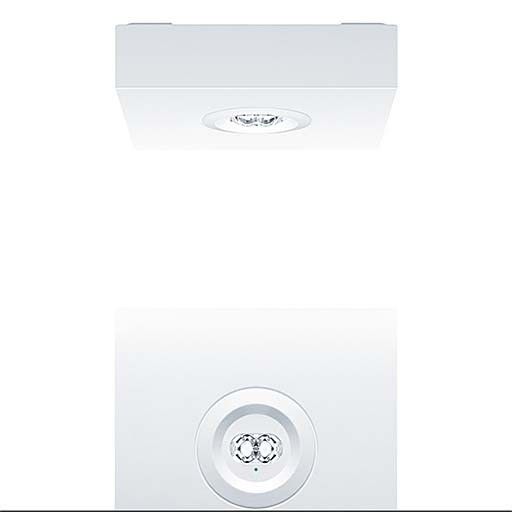 Sicherheitsleuchte RESCLITE P #42930002