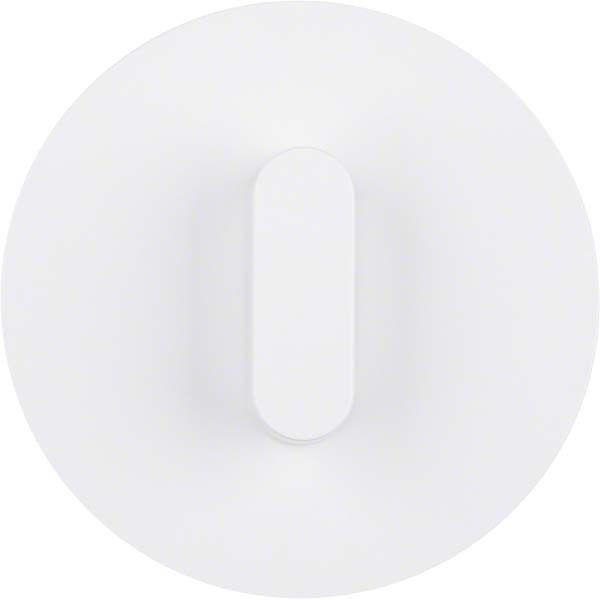 Abdeckplatte 1001208900 polarweiß glänzend