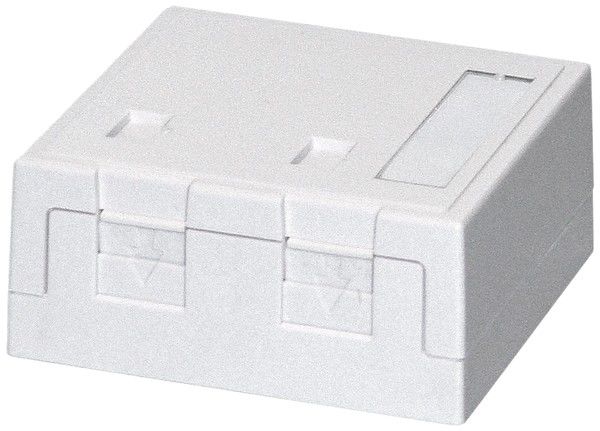 Aufputzdose rw 2xKeystone 418037