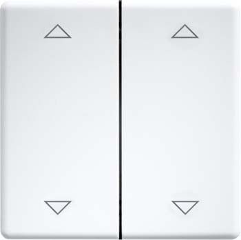 Doppelwippe lasergraviert DW-FT55-wg+2P