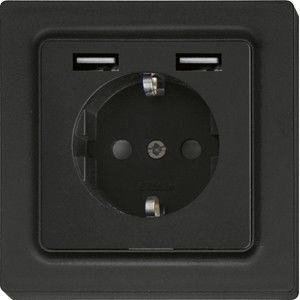 Schutzkontakt-Steckdose DSS55E+2xUSBA-am