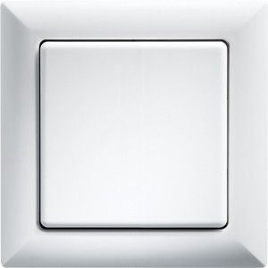 Wippschalter WS55-rw