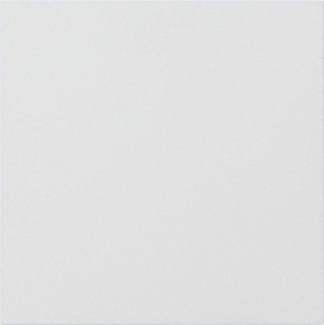 Info-/Blindmodul 5554902