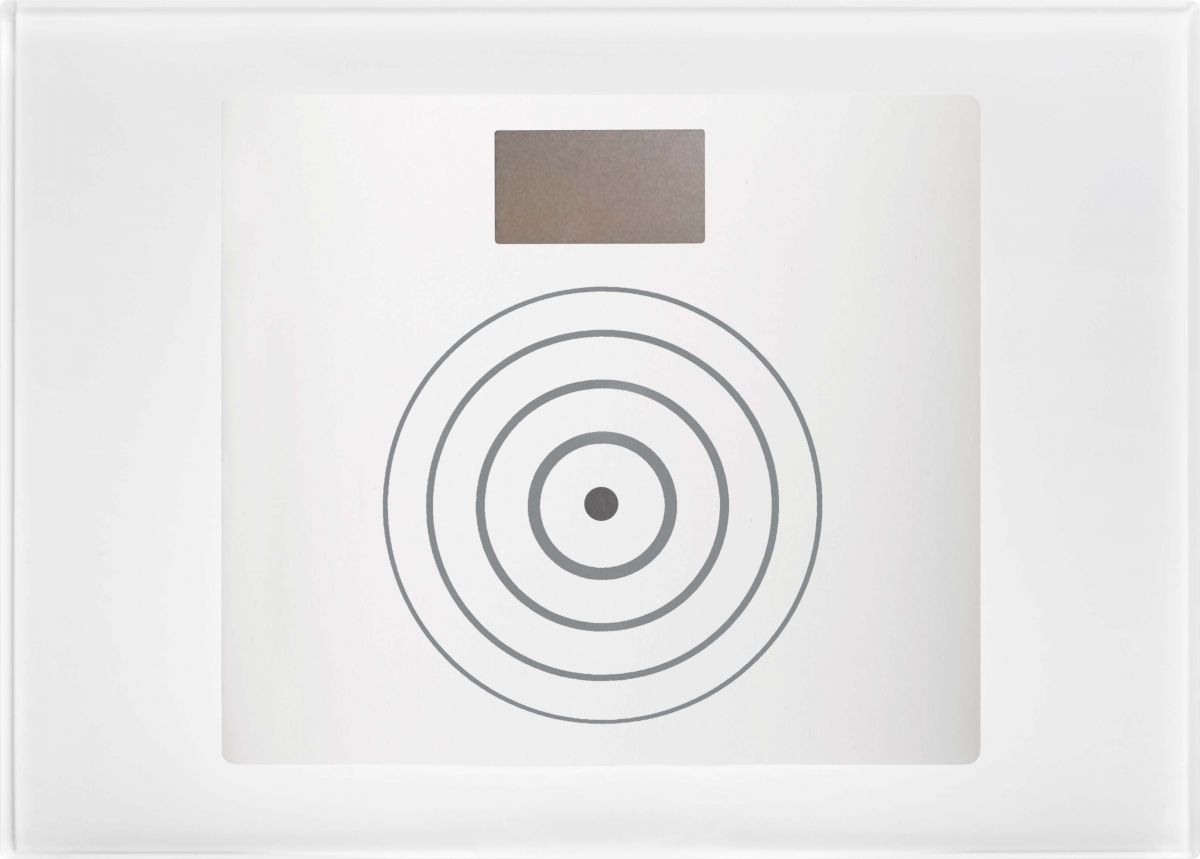 Türöffner-Modul SM 1168/45W