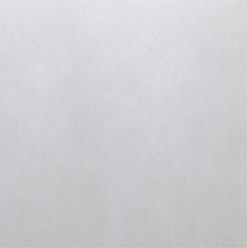 Ersatz-Luftfilter zu LF 25 ELF 250