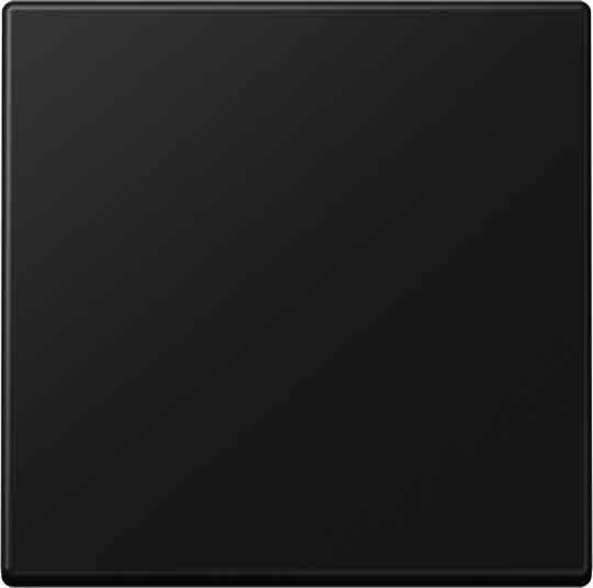 Blind-Abdeckung A594-0PLSWM