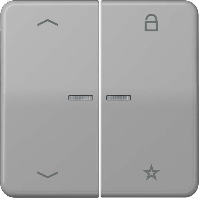 eNet Funk-Steuertaste FM CD 1701 P GR