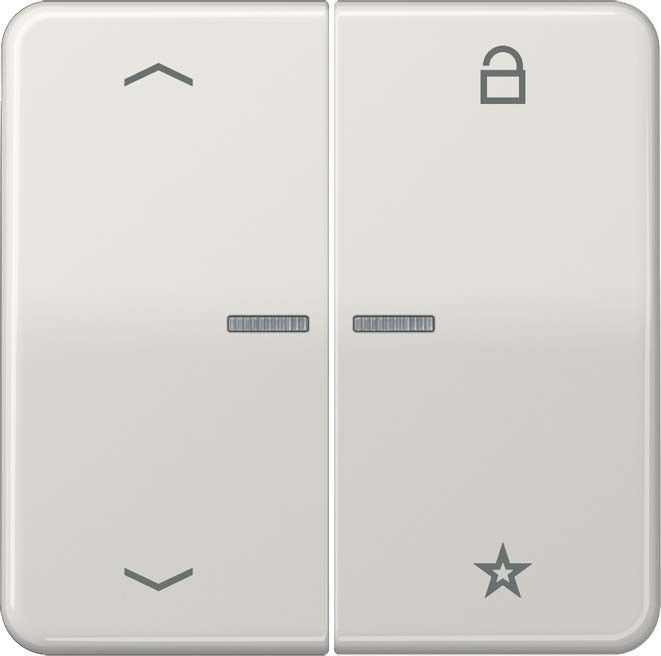eNet Funk-Steuertaste FM CD 1701 P LG