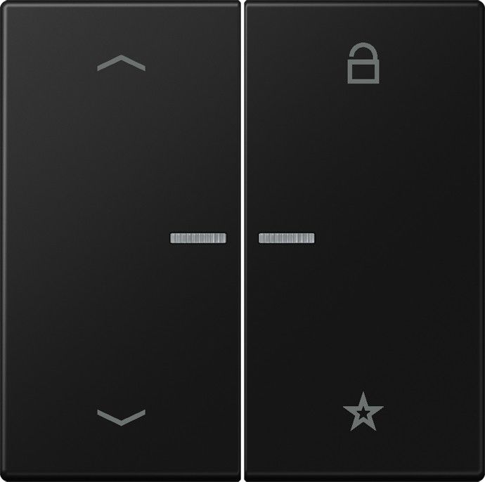eNet Funk-Steuertaste FM LS 1701 P SWM
