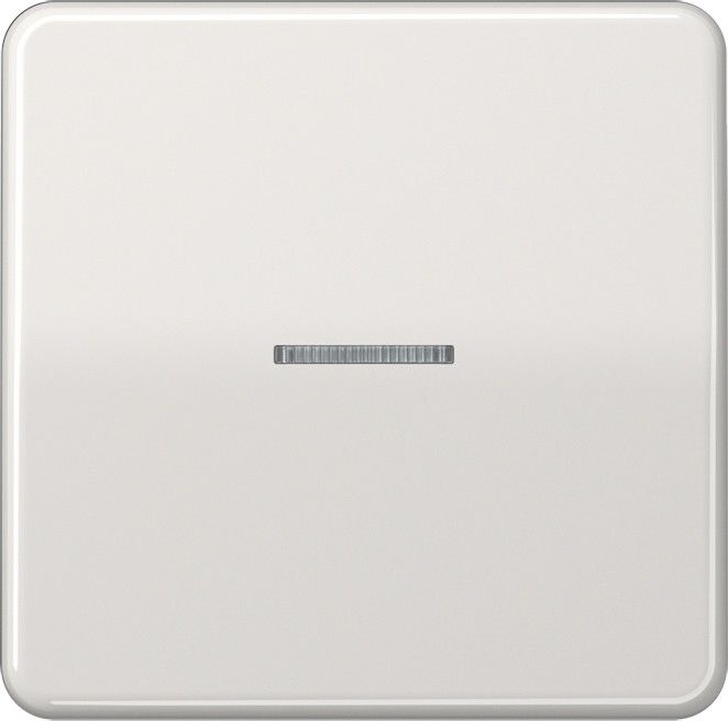 KNX RF Taster 1fach CD 10911 ST RF LG
