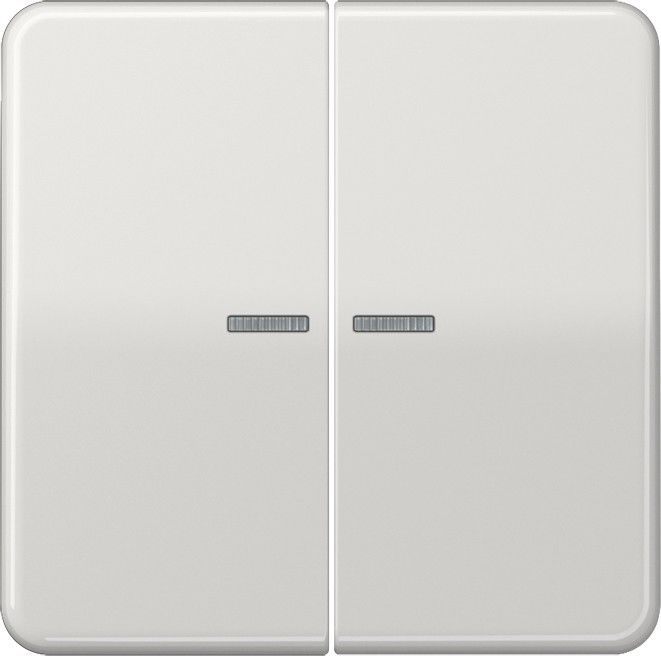 KNX RF Taster 2fach CD 10921 ST RF LG