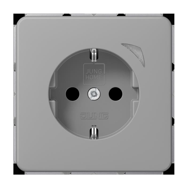 SCHUKO Steckdose 16 A 250V BT CD 1521 S GR
