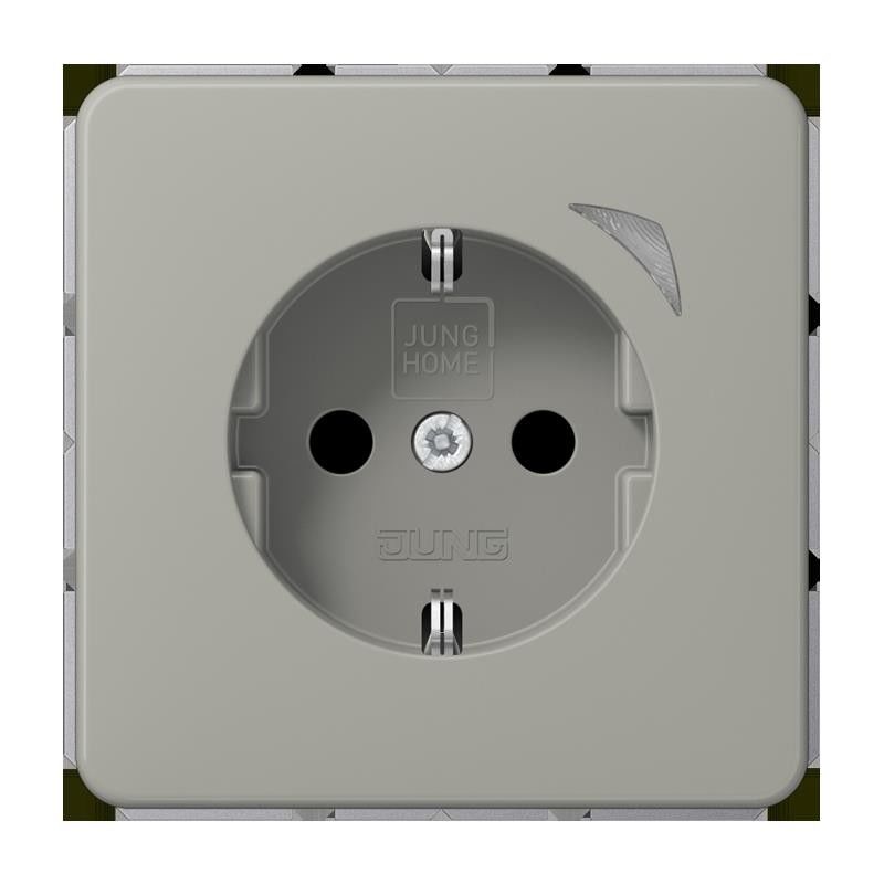 SCHUKO Steckdose 16 A 250V BT CD 1521 SE PT