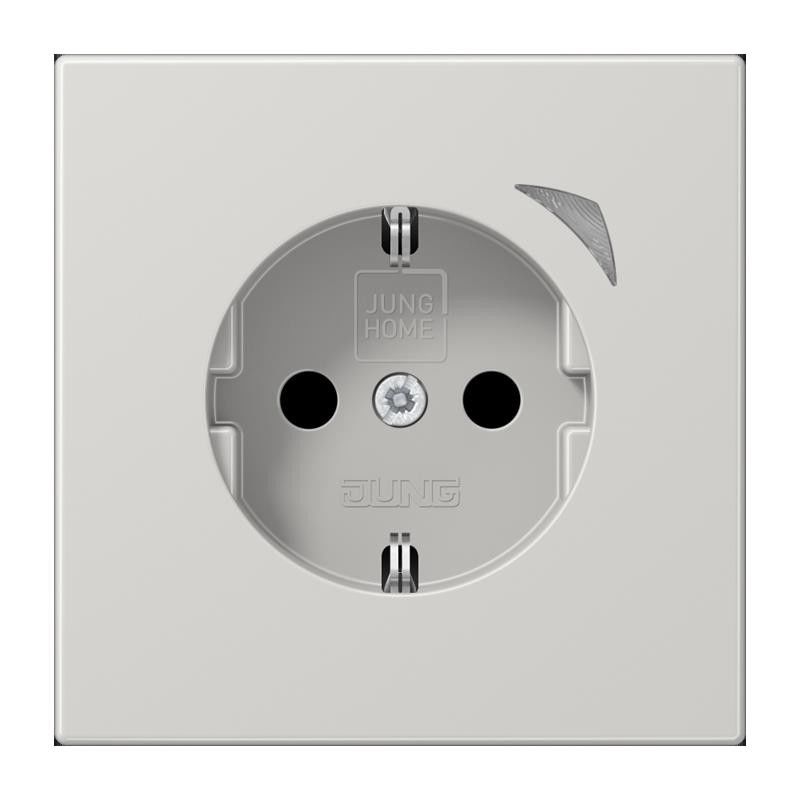 SCHUKO Steckdose 16 A 250V BT LS 1521 S LG