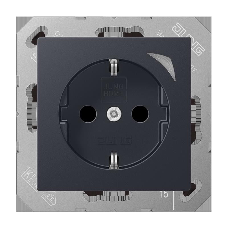 SCHUKO Steckdose BT A 1521 SE ANM