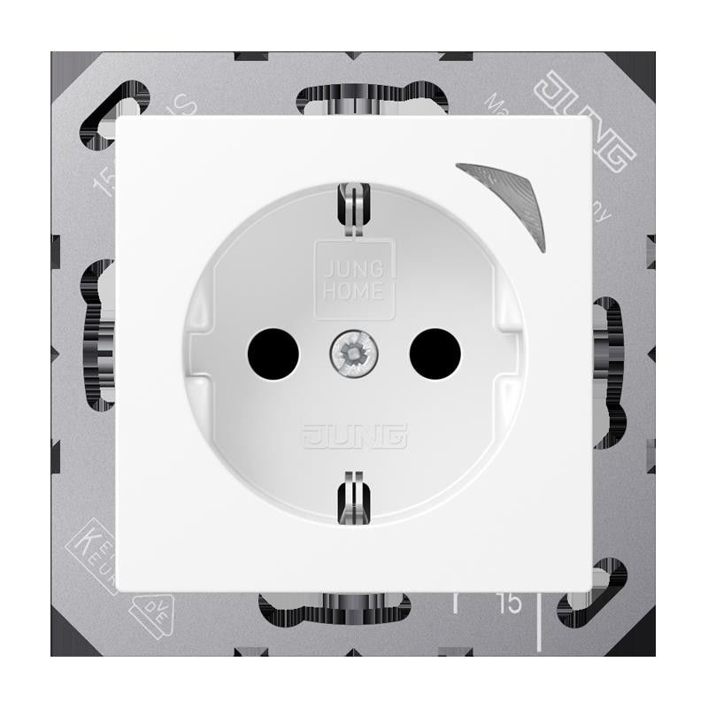 SCHUKO Steckdose BT A 1521 SE WWM