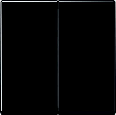 Steuertaste 2-fach A1702BFSW