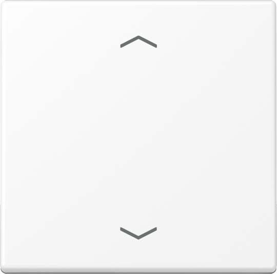 Steuertaste Standard A1700BFPWWM