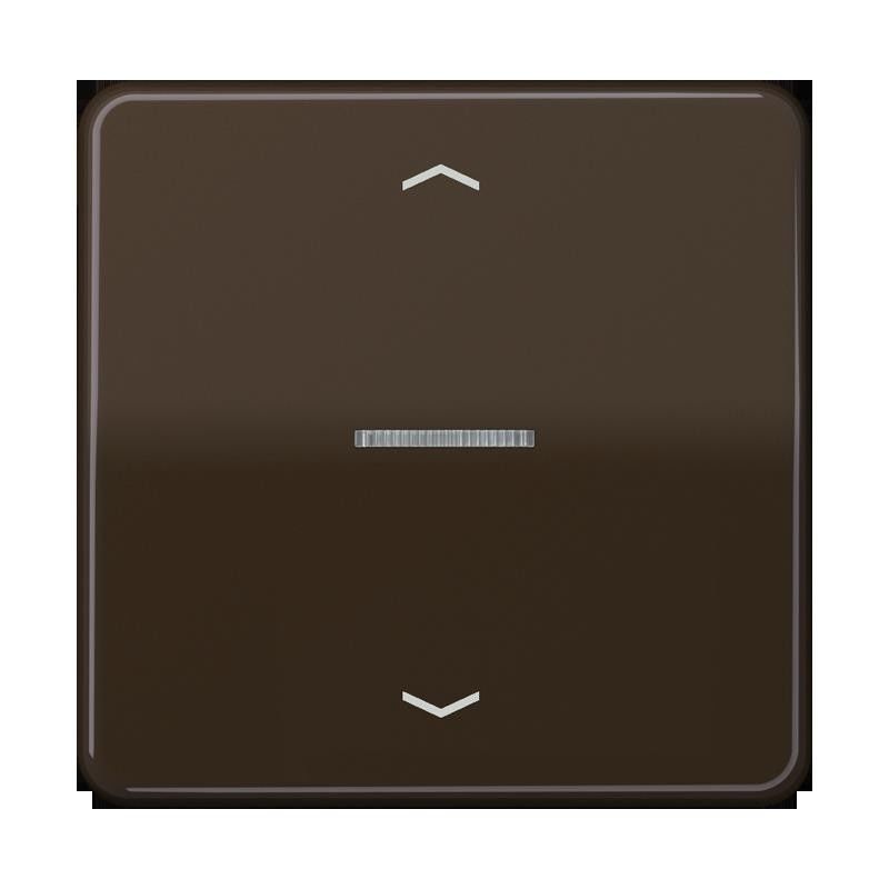 Taster 1fach BT CD 17101 P BR