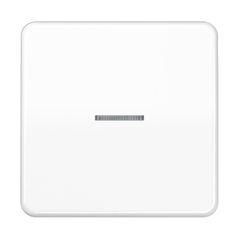 Taster 1fach BT CD 17101 P BR