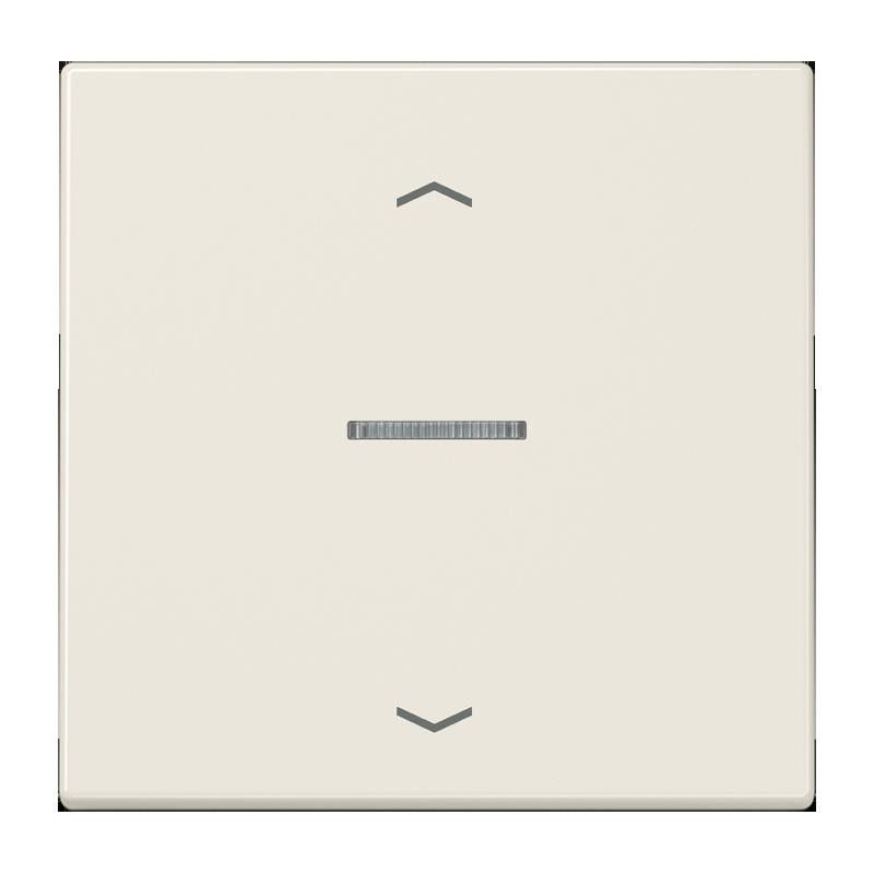 Taster 1fach BT LS 17101 P