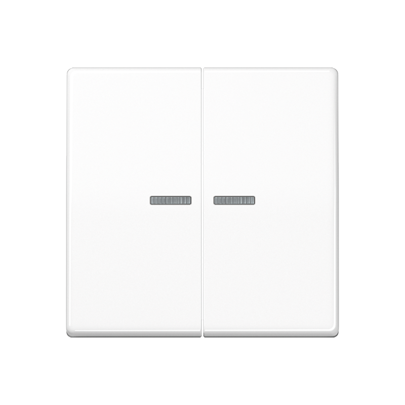 Taster 2fach BT A 17102 BF WW